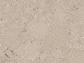 Shitake 4230